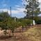 Monte do Ribeiro Baço - Monsaraz