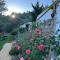 Magnolias Cottage