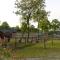 Pietra Cavalla - Ranch & Resort - Polpenazze del Garda