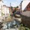 Walfisch im Zentrum - ABC350
