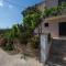 Apartment Ciba