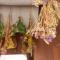 Mestiza Hostal
