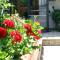 Raggio di Sole Bed & Breakfast - Macari