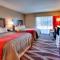 The Beaucatcher, a Boutique Motel