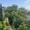 Podocarpus cottages
