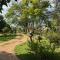 Podocarpus cottages