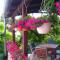 Guest House Djurdjica