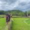 Vuglamping