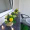 Apartman Kasic 2