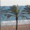 Passeig Maritim Apartment