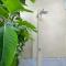 Woodstock Hostel