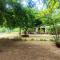 Deer Garden Guest