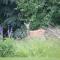 Silver Star Bed and Breakfast