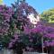 Holiday house Bellissima