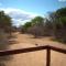 Bush Babies Camp