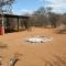 Bush Babies Camp