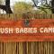 Bush Babies Camp