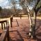 Bush Babies Camp
