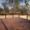 Bush Babies Camp