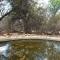 Bush Babies Camp