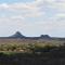 Bush Babies Camp