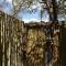 Bush Babies Camp