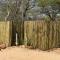 Bush Babies Camp