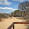 Bush Babies Camp