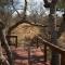 Bush Babies Camp