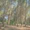 Ad un passo da Cisternino - Trulli con Foresta, Bici e BBQ