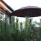 Holiday Terrace Nida