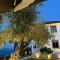 L olive Villa