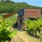 POP Tiny House Balaton