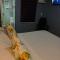 Hostal Mi Maravilla
