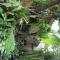 Hostal Macaw