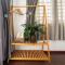 Cactusland Homestay - Tran Hung Dao