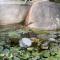 Lakshmi Flower Tech Resort