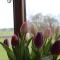 Ystumgwern Luxury Barn Conversions
