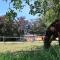 De Maalderie Holiday Home