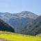 Heualm