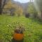 Forest House Doftana