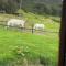 Glamping la Cumbre