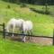 Glamping la Cumbre