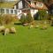 Townhouse in Bechyně with Private Pool
