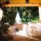 Hyatt Vacation Club at the Welk, San Diego