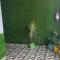 IMBUE Rooms