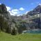 Appartment Chalet Sonnenheim - Kandersteg