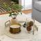 The Adaline #3 - Upscale Hyde Park Apt, First Floor