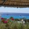 Pelagos Studios