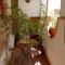 Riad El Bir
